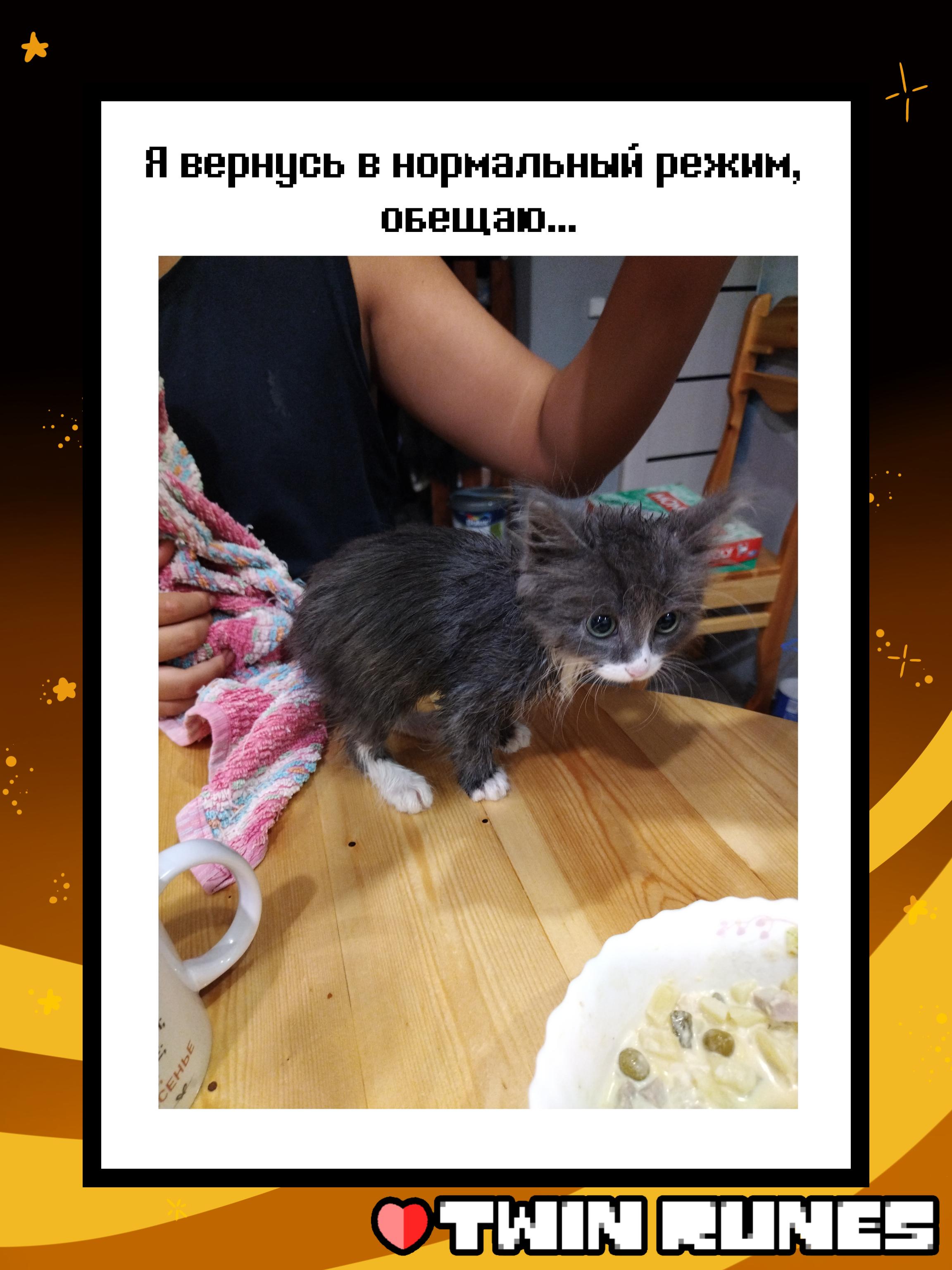 Манга Twin Runes - Глава 91.1 Страница 7