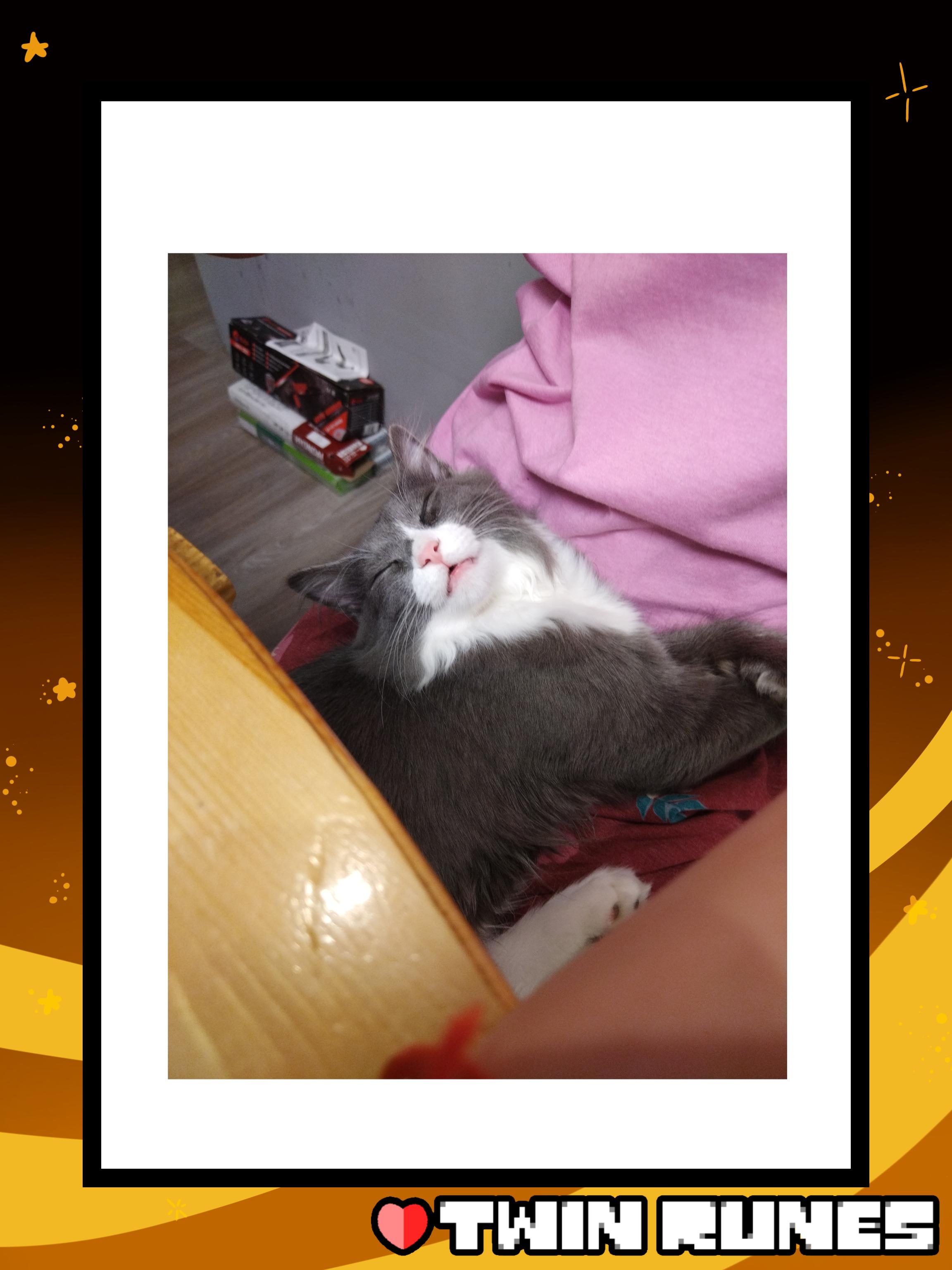 Манга Twin Runes - Глава 87 Страница 8