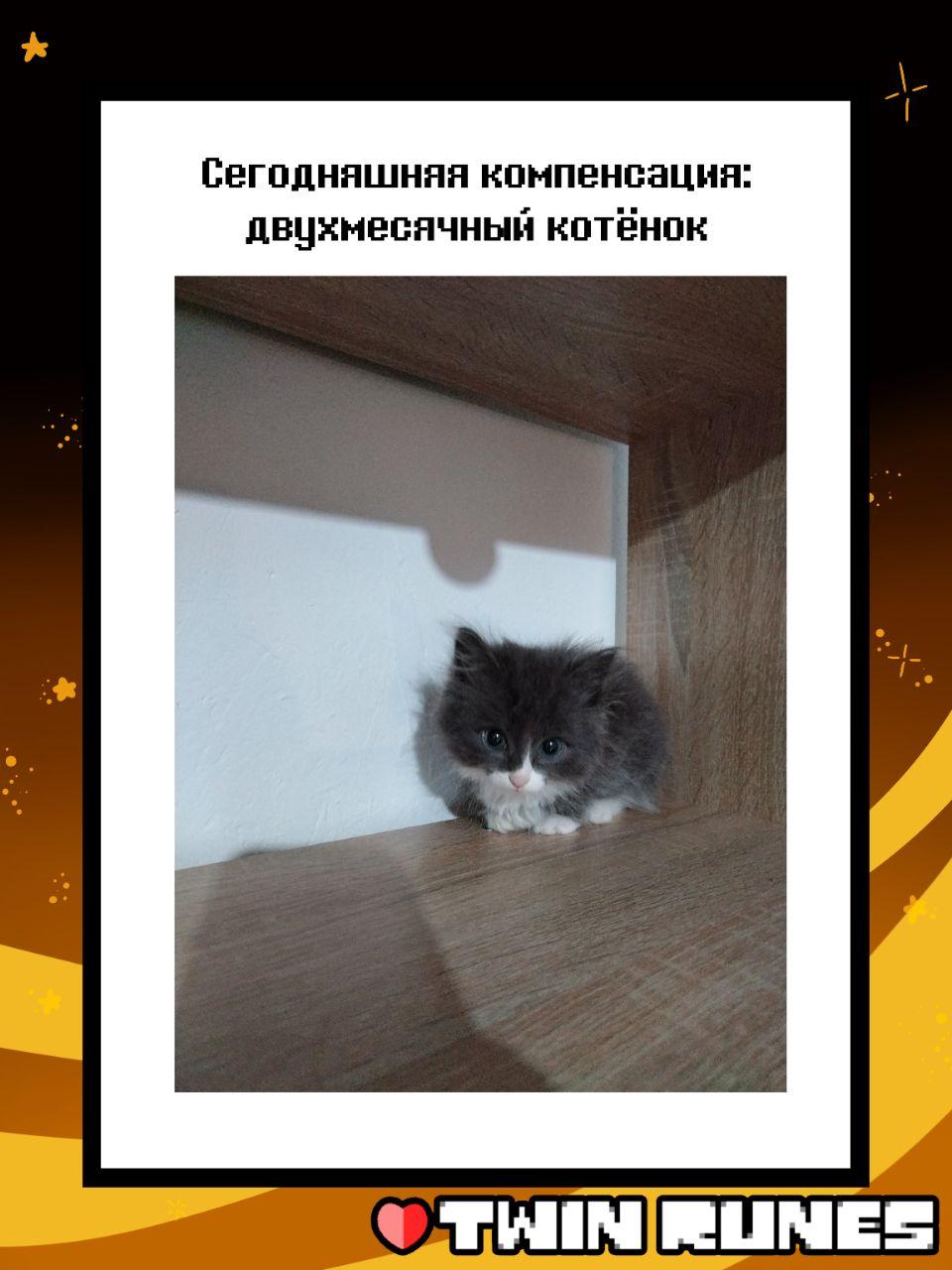 Манга Twin Runes - Глава 66 Страница 7