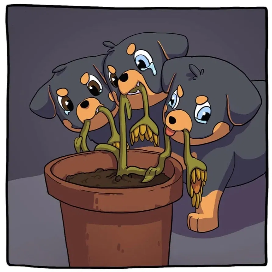 Манга Аид и Цербер - Глава 5 Страница 9