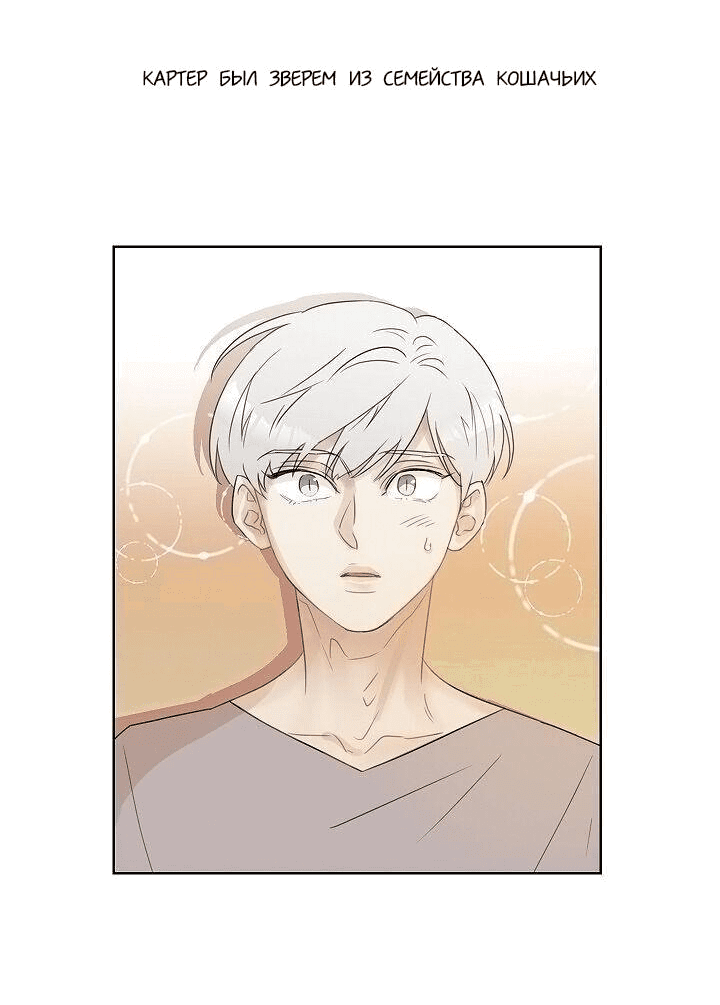 Манга Я буду твоим мужем - Глава 1 Страница 21