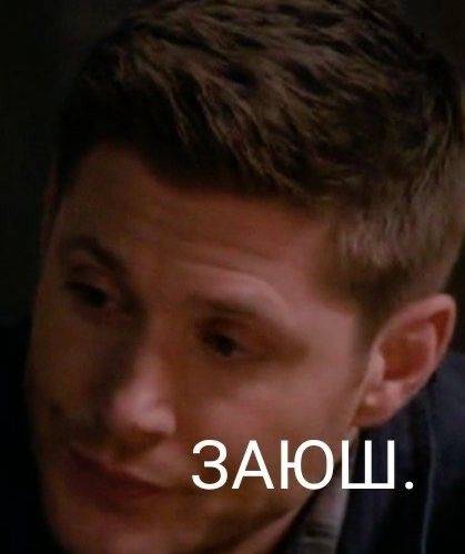 Манга Фурри и отаку. - Глава 38 Страница 32