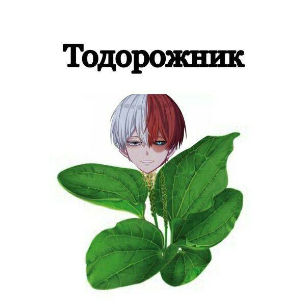 Манга Фурри и отаку. - Глава 31 Страница 12