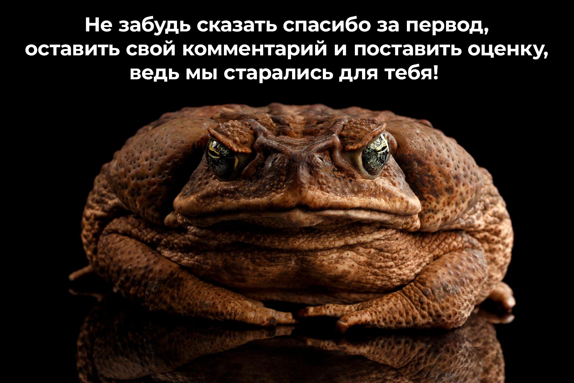Манга Мой друг Тасиро-кун. - Глава 15 Страница 91