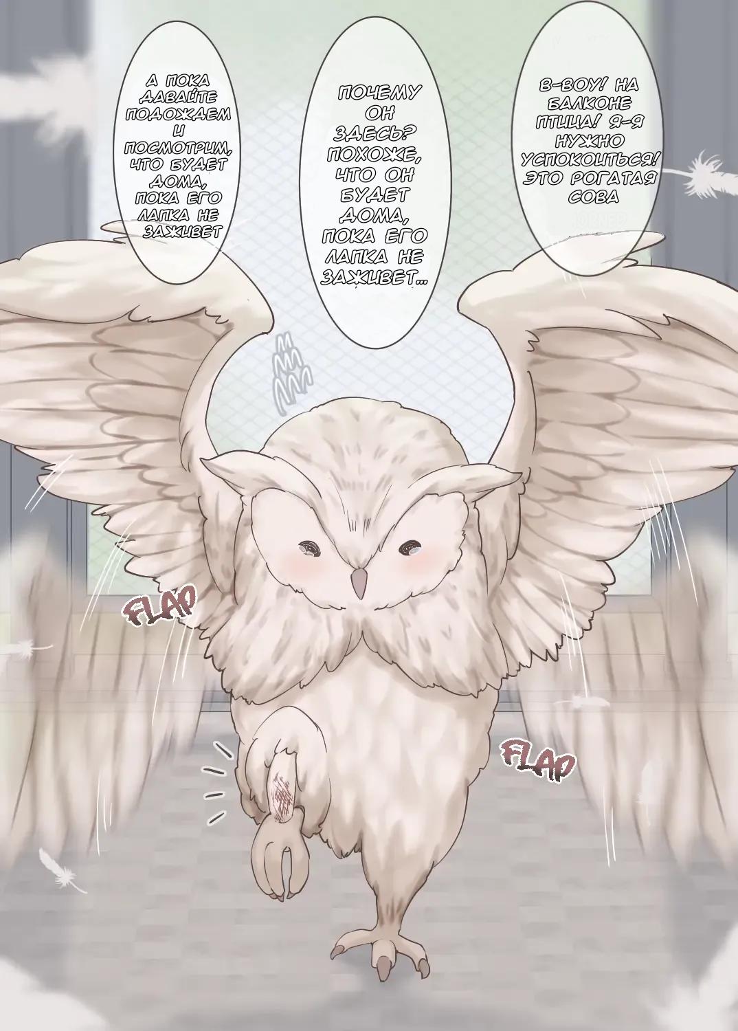 Манга История о том, как спасенная мной рогатая сова превратилась в девочку - Глава 1 Страница 1