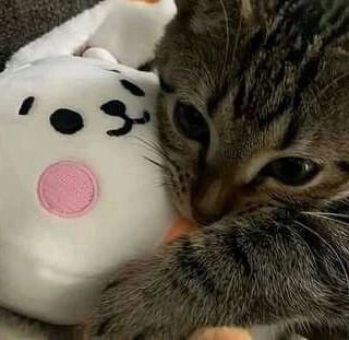 Манга Почему бы не сделать обеих близняшек своими девушками? - Глава 3 Страница 31