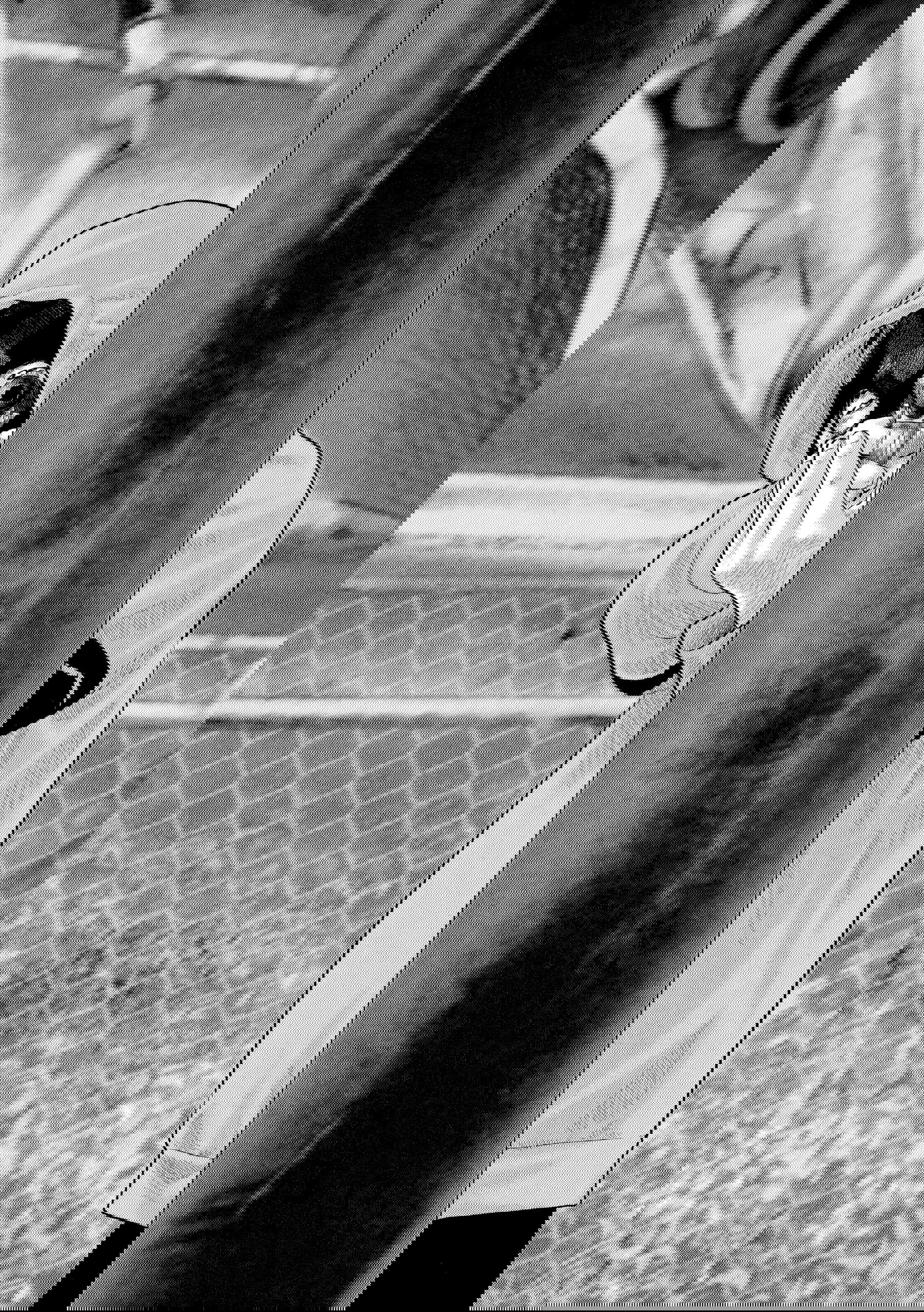 Манга Басня: Второй контакт - Глава 43 Страница 6