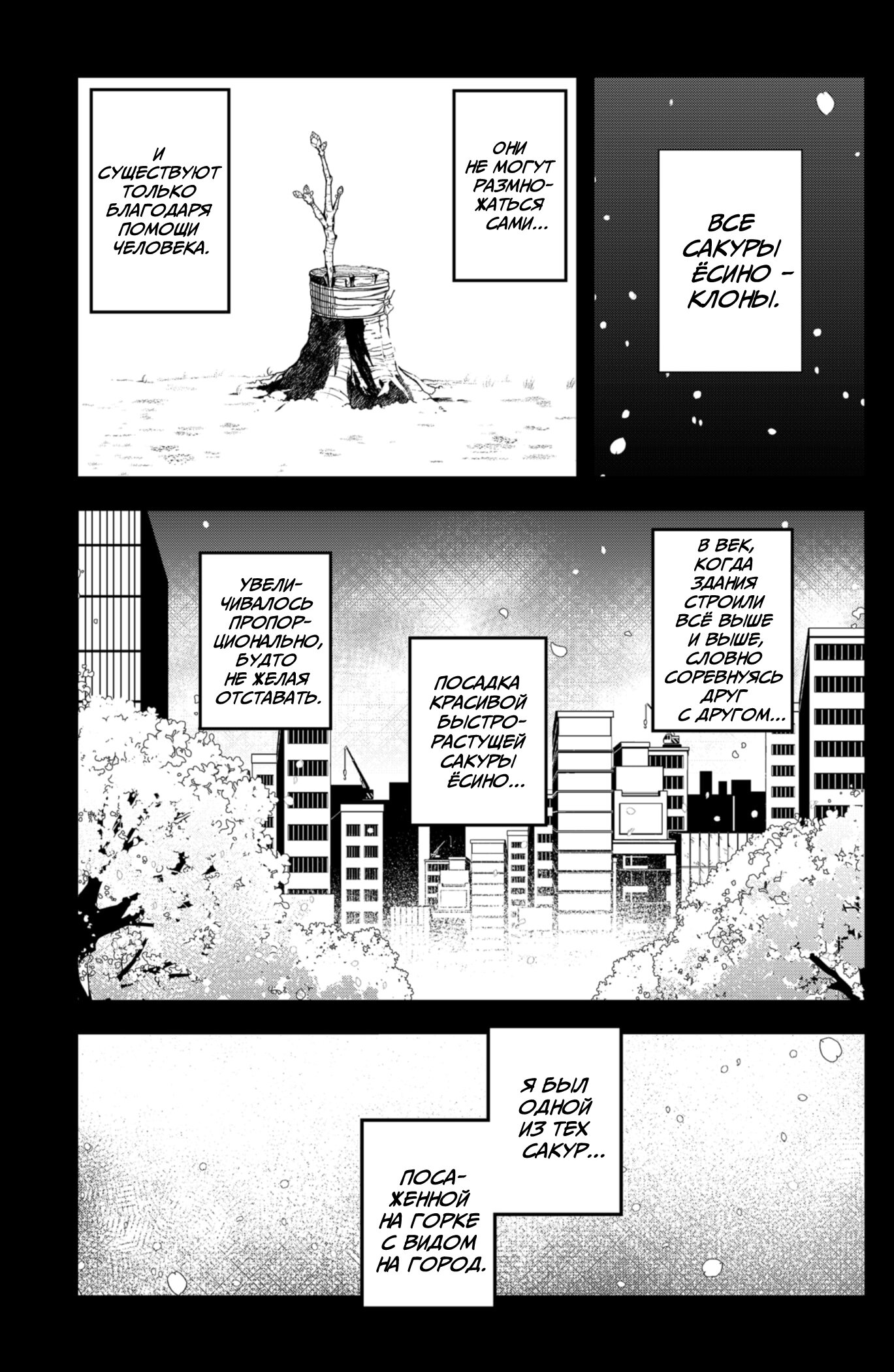 Манга Сибатарианец - Глава 20 Страница 5