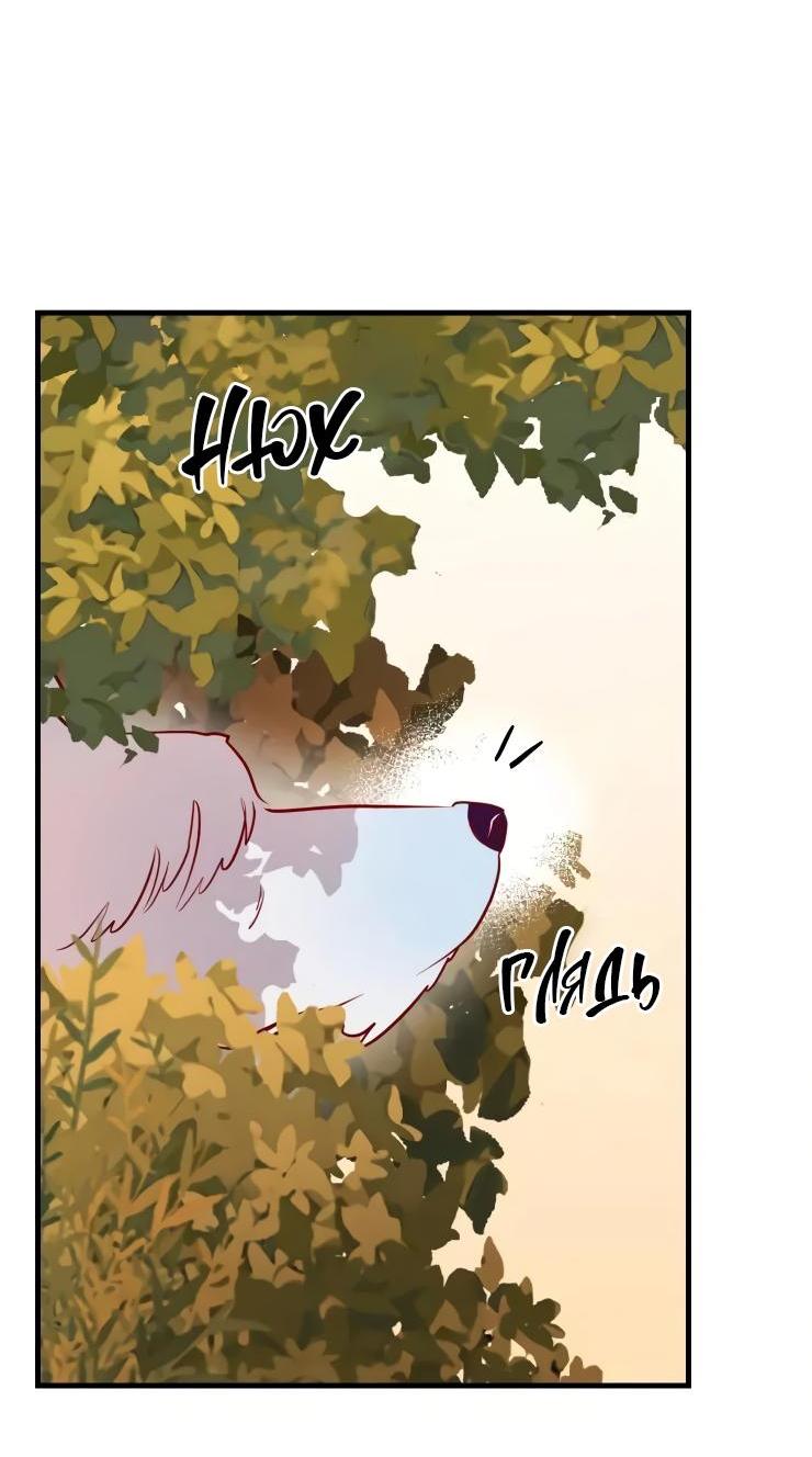 Манга Гей!ротичный жрец - Глава 20 Страница 8