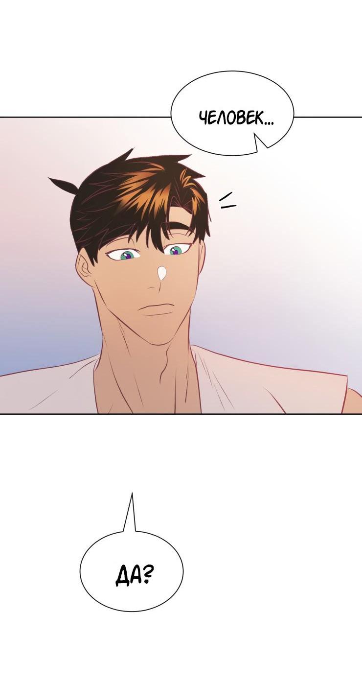 Манга Гей!ротичный жрец - Глава 9 Страница 25