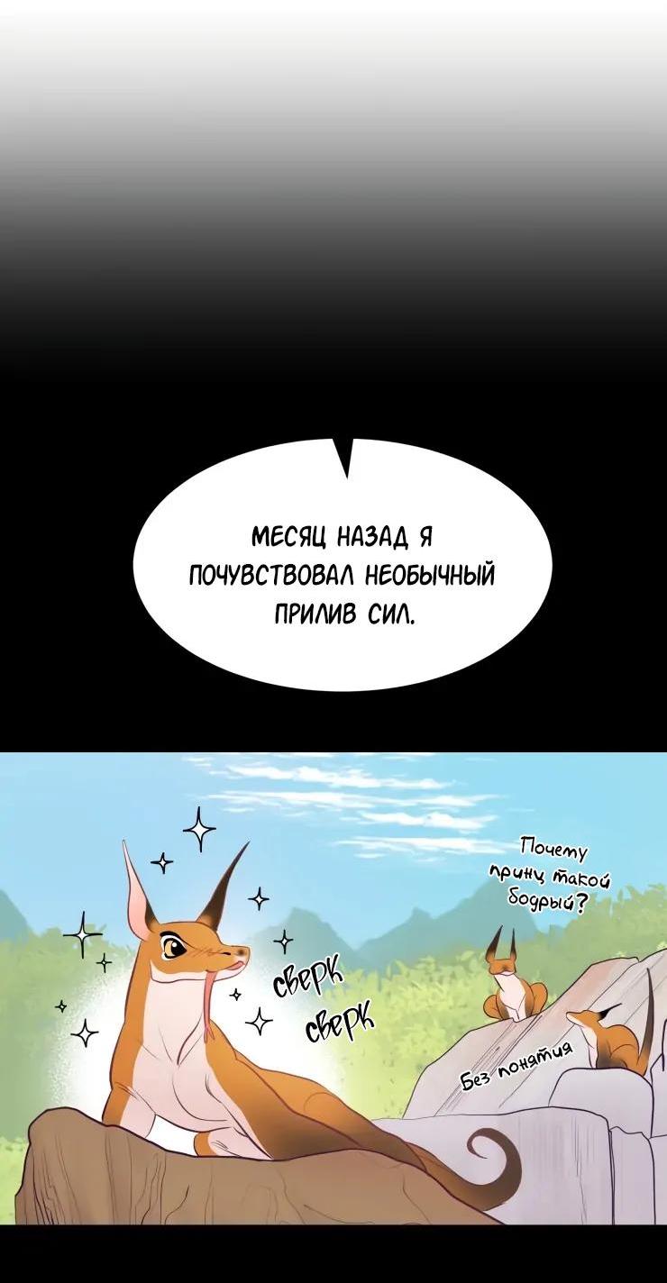 Манга Гей!ротичный жрец - Глава 7 Страница 20