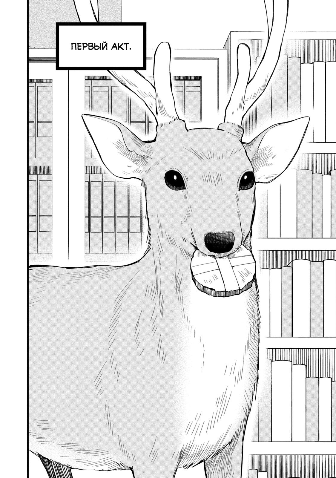 Манга Моя подруга-олениха Нокотан - Глава 17 Страница 2