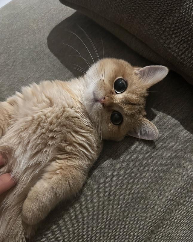 Манга Кайе-чан не страшно - Глава 9 Страница 25