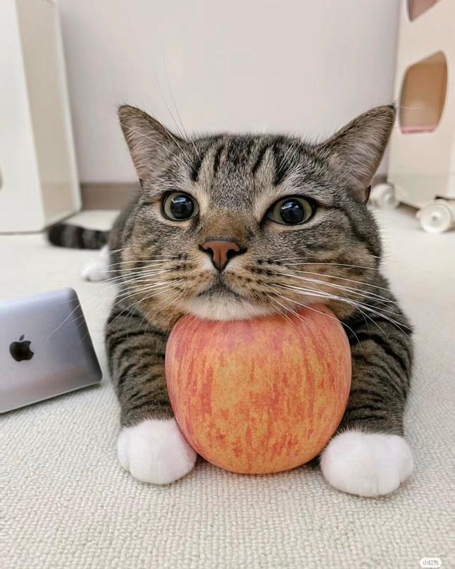 Манга Кайе-чан не страшно - Глава 8 Страница 17