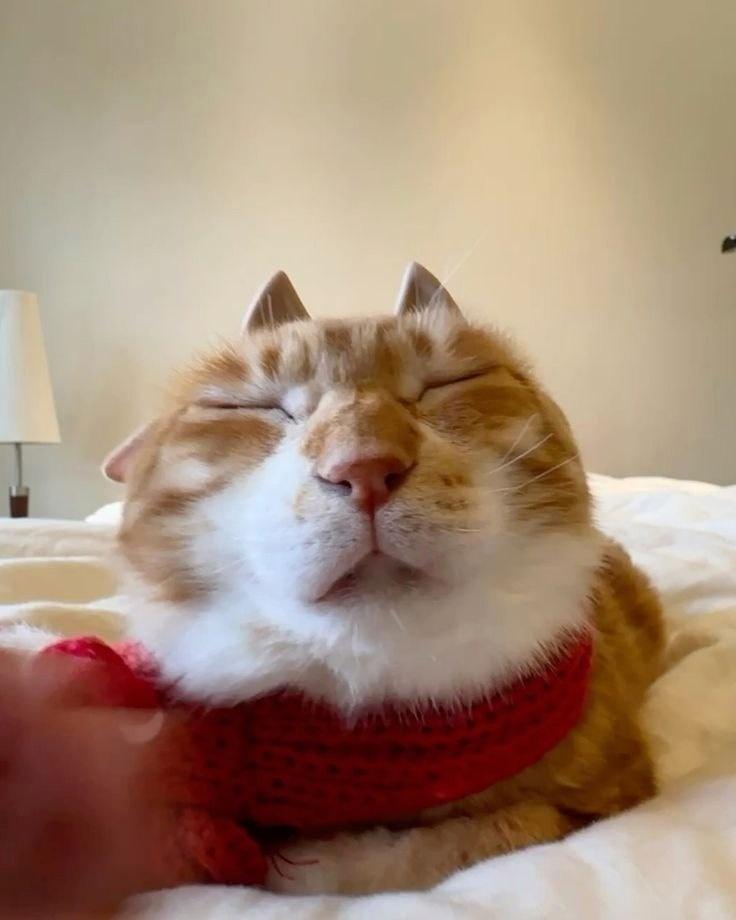 Манга Кайе-чан не страшно - Глава 6 Страница 27