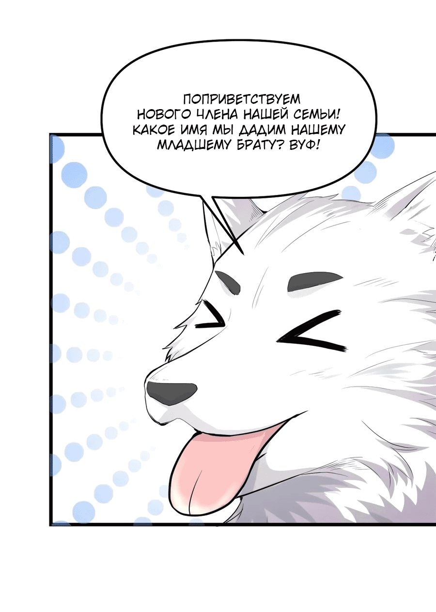 Манга Фальшивый культиватор - Глава 117 Страница 14