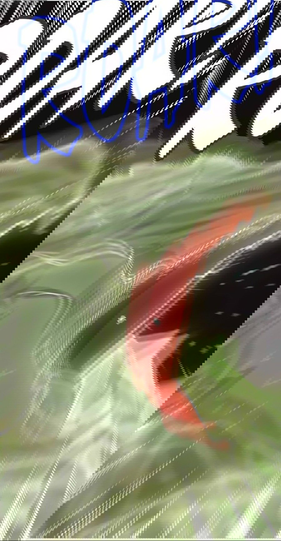 Манга Фальшивый культиватор - Глава 99 Страница 16