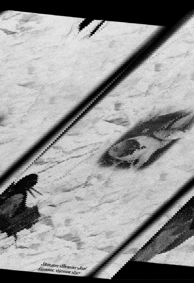 Манга Книжный клуб - Глава 6 Страница 29