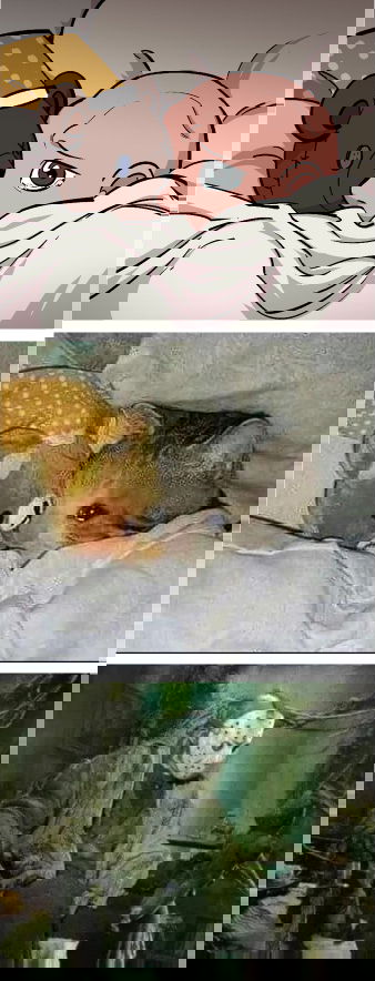 Манга Вожатый Джейсон - Глава 2 Страница 4