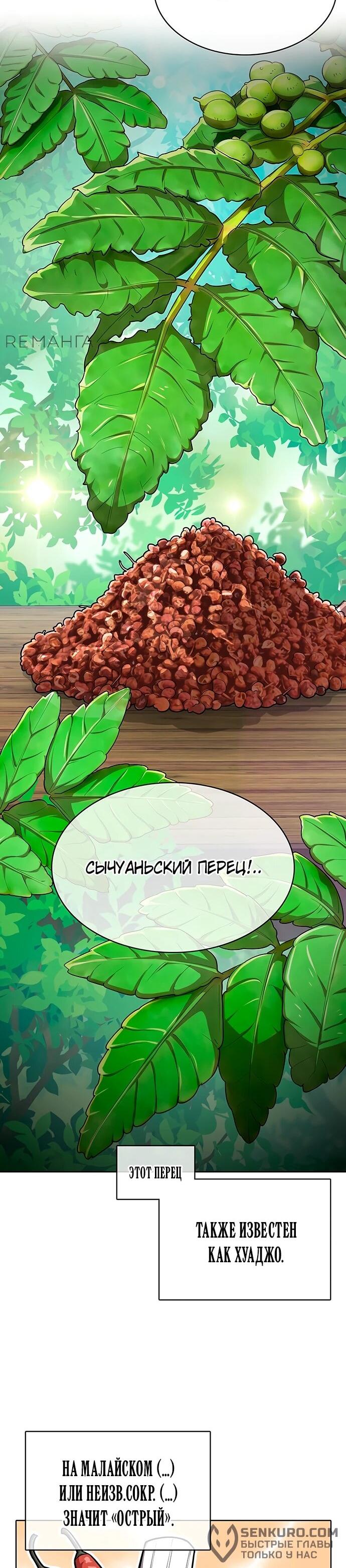 Манга Шеф-повар Кан из иного мира - Глава 7 Страница 21