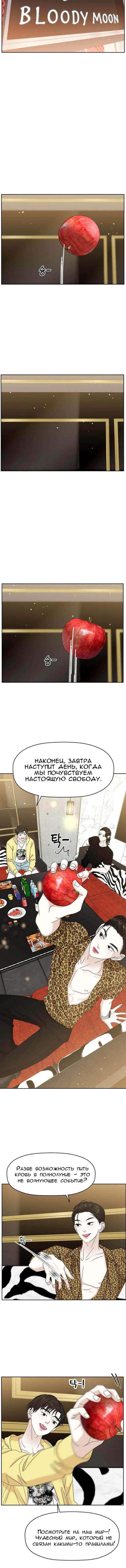 Манга Дегустатор еды для вампира - Глава 71 Страница 5