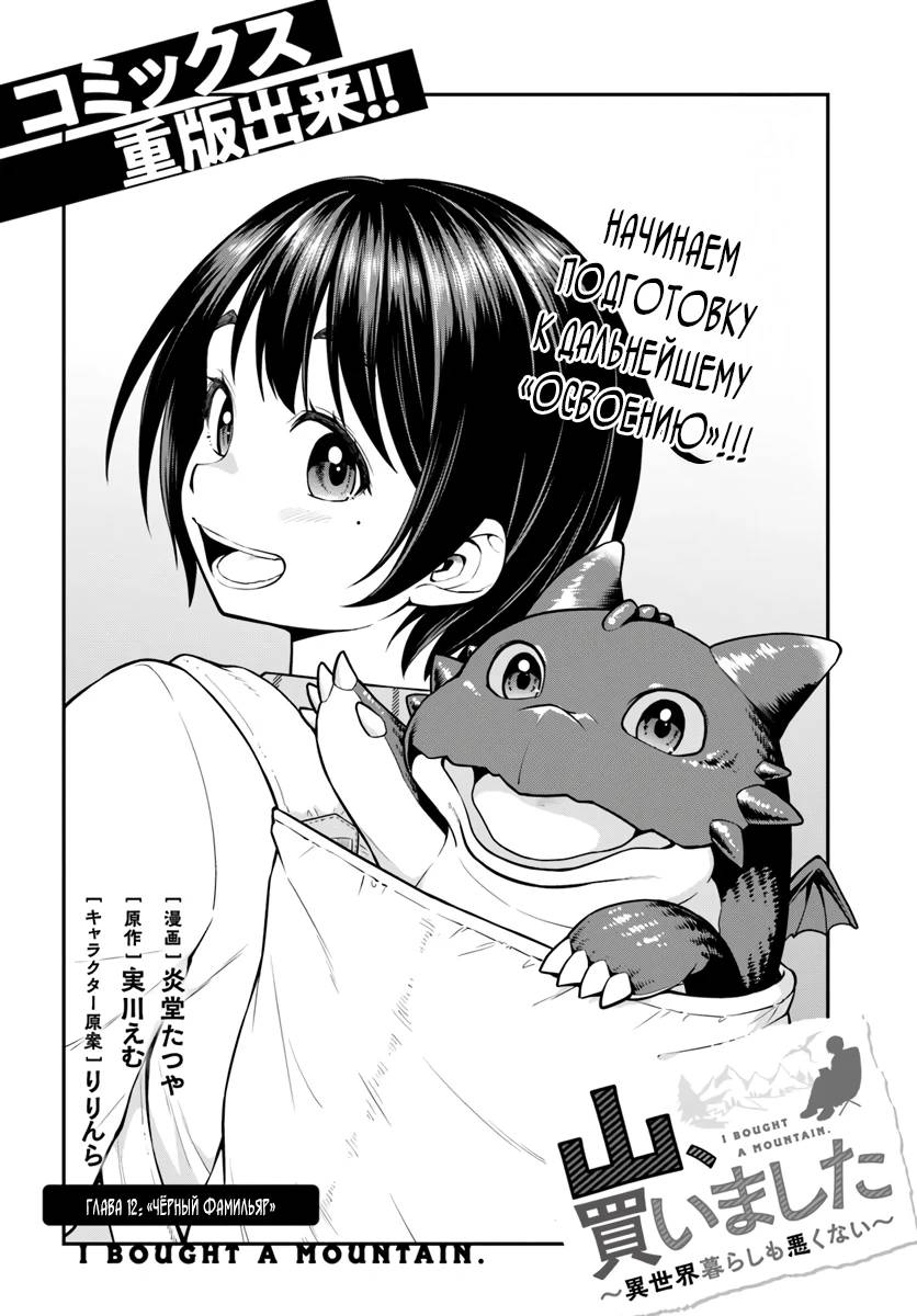 Манга Я купила гору. «Жить в другом мире не так уж и плохо» - Глава 12 Страница 2