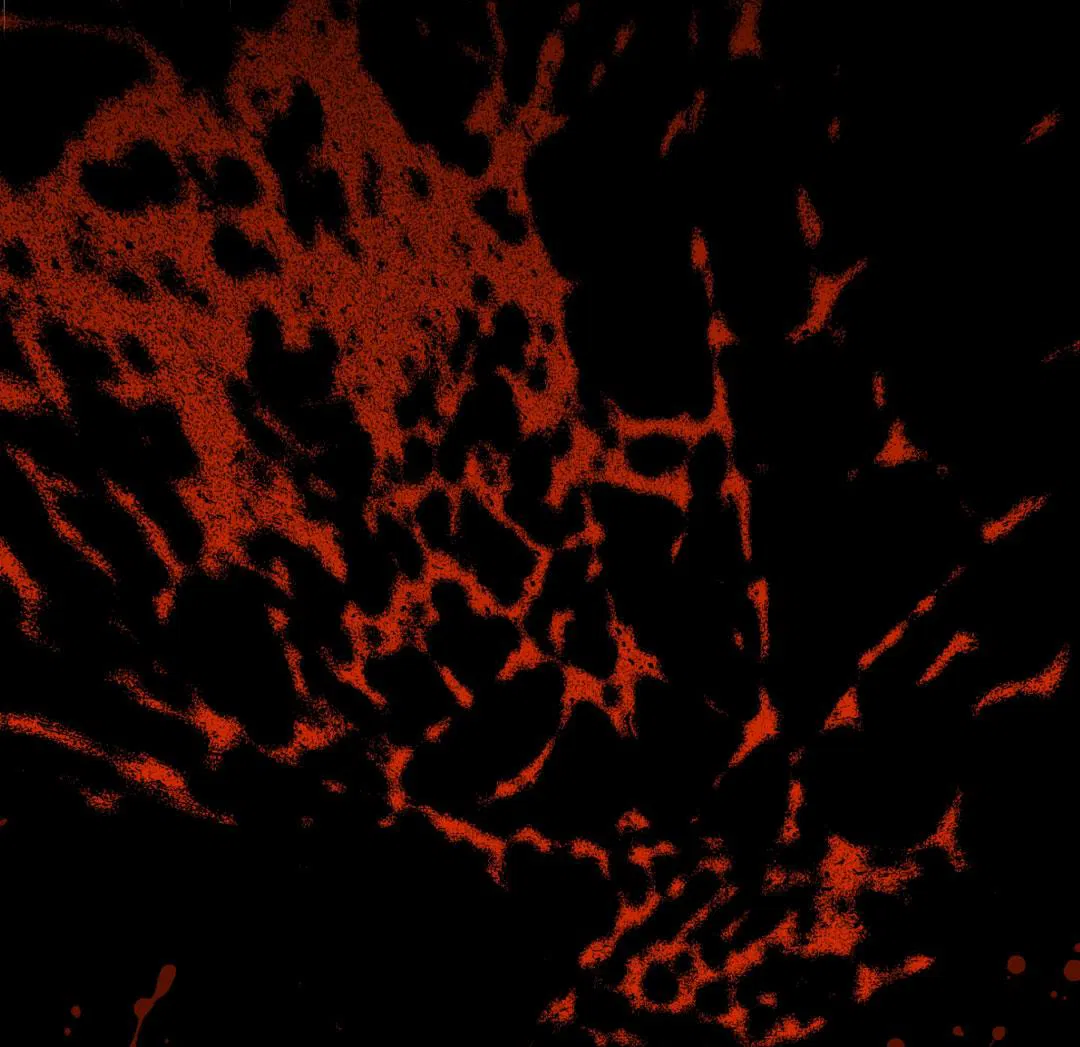 Манга Цветение белой ночи - Глава 7 Страница 7