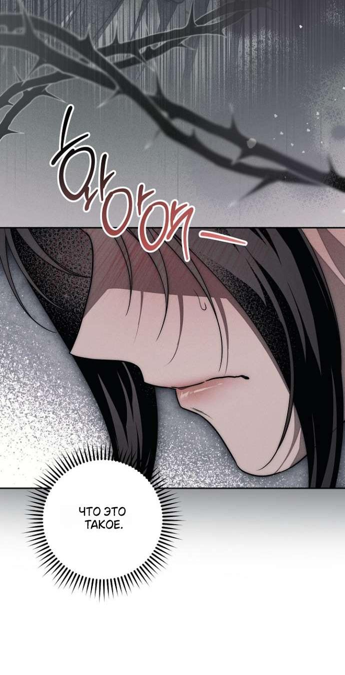 Манга Лебединая гробница - Глава 28 Страница 61