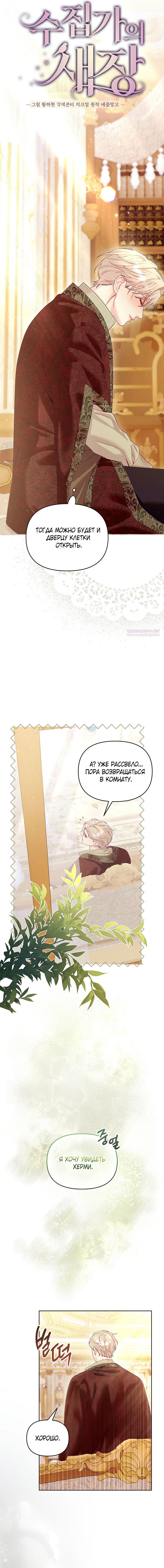 Манга Клетка коллекционера - Глава 20 Страница 16