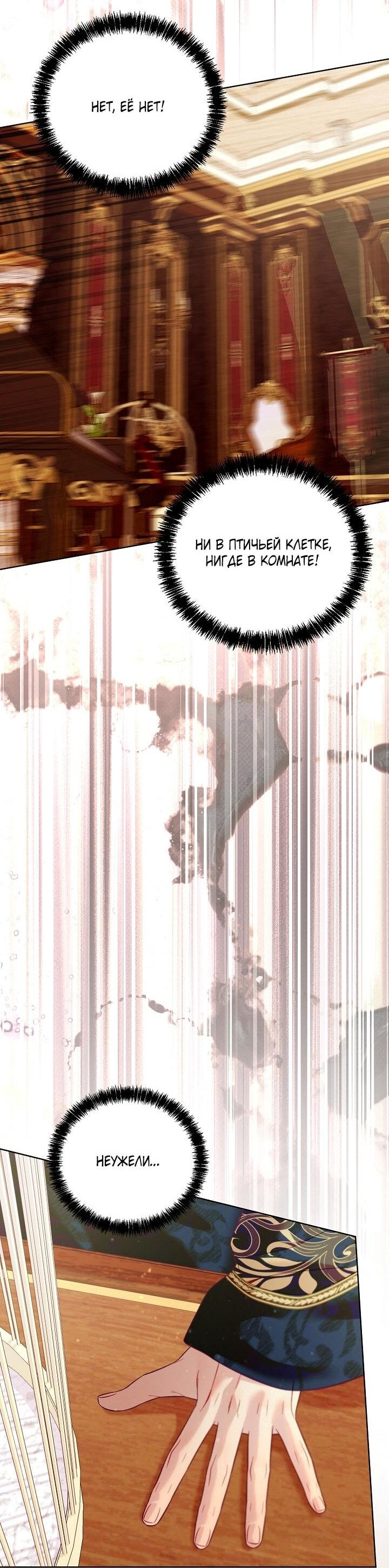 Манга Клетка коллекционера - Глава 11 Страница 37