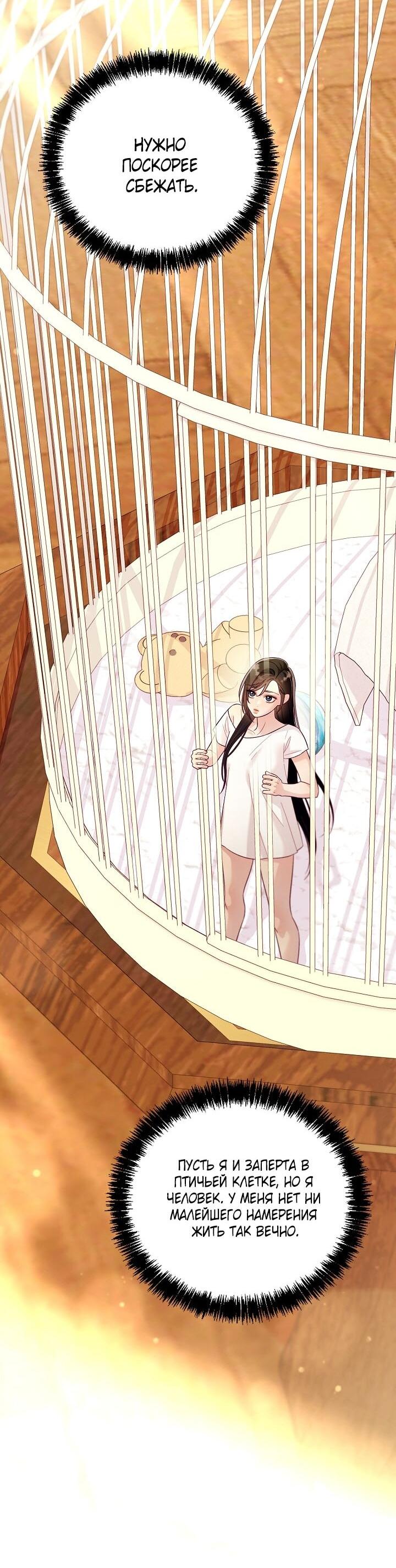 Манга Клетка коллекционера - Глава 7 Страница 65