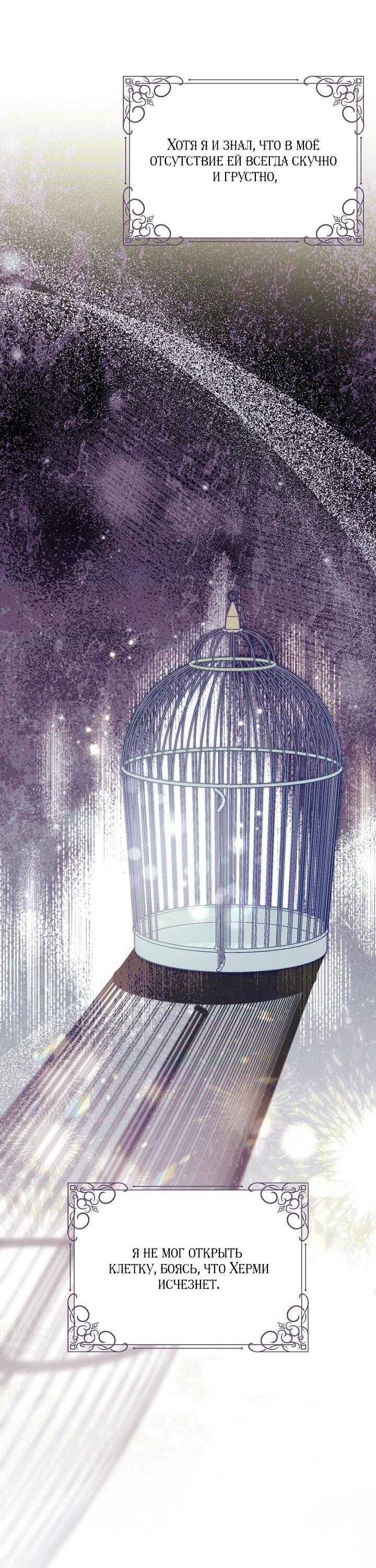 Манга Клетка коллекционера - Глава 6 Страница 26