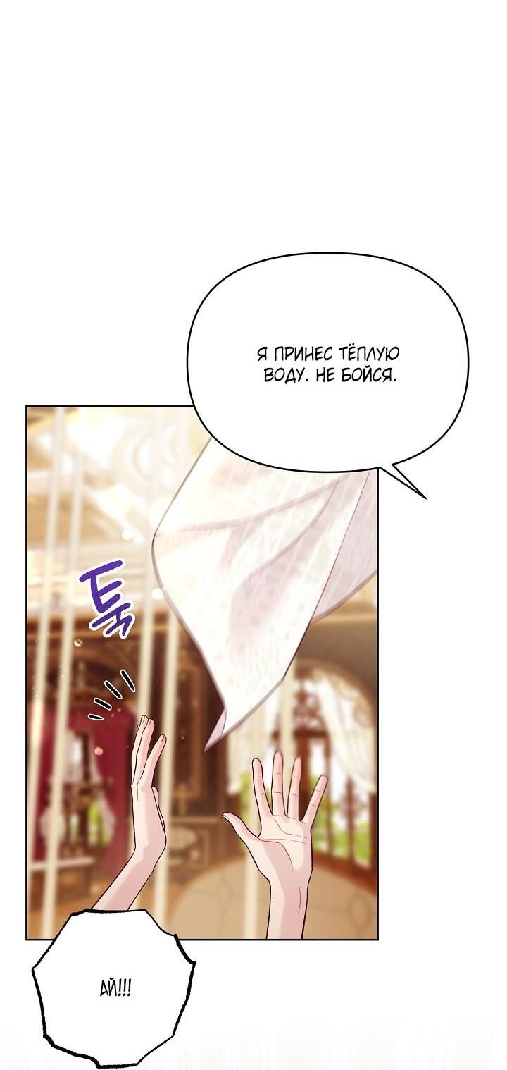 Манга Клетка коллекционера - Глава 5 Страница 49