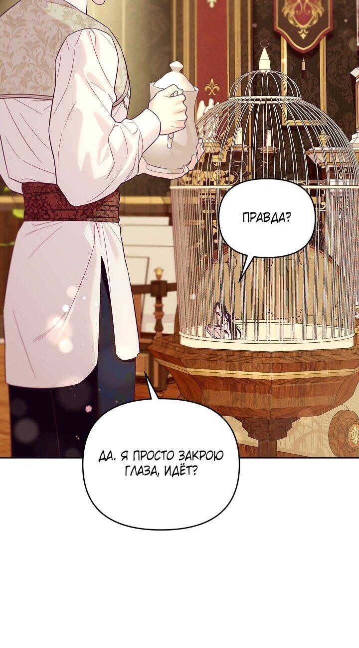 Манга Клетка коллекционера - Глава 5 Страница 52