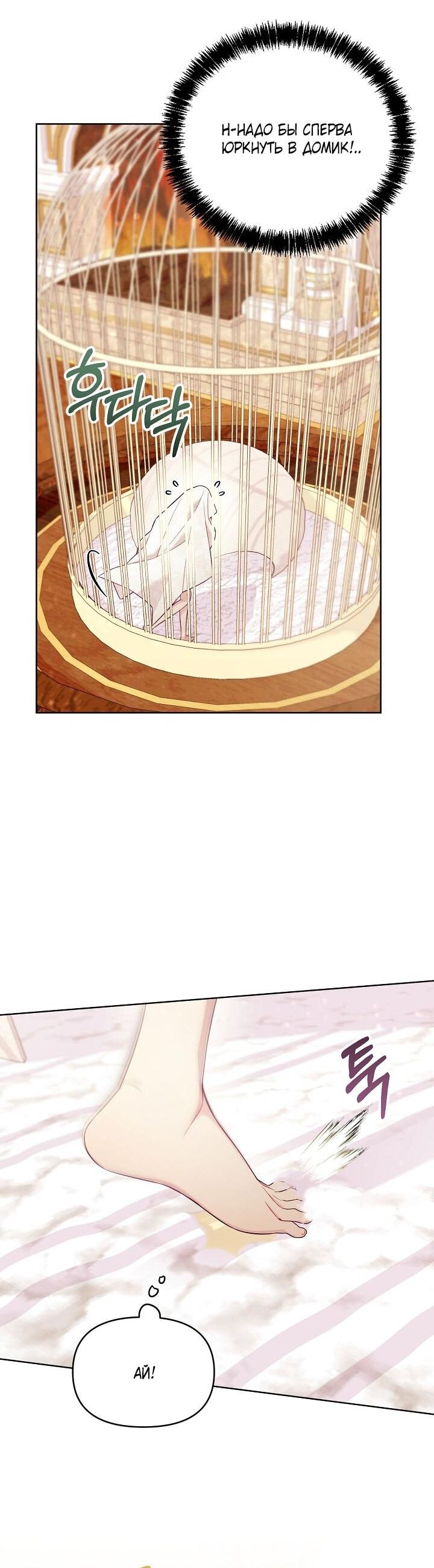 Манга Клетка коллекционера - Глава 4 Страница 17