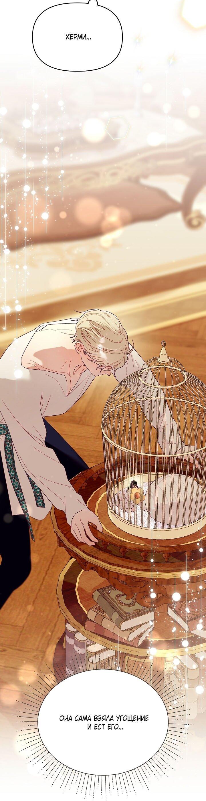 Манга Клетка коллекционера - Глава 4 Страница 29