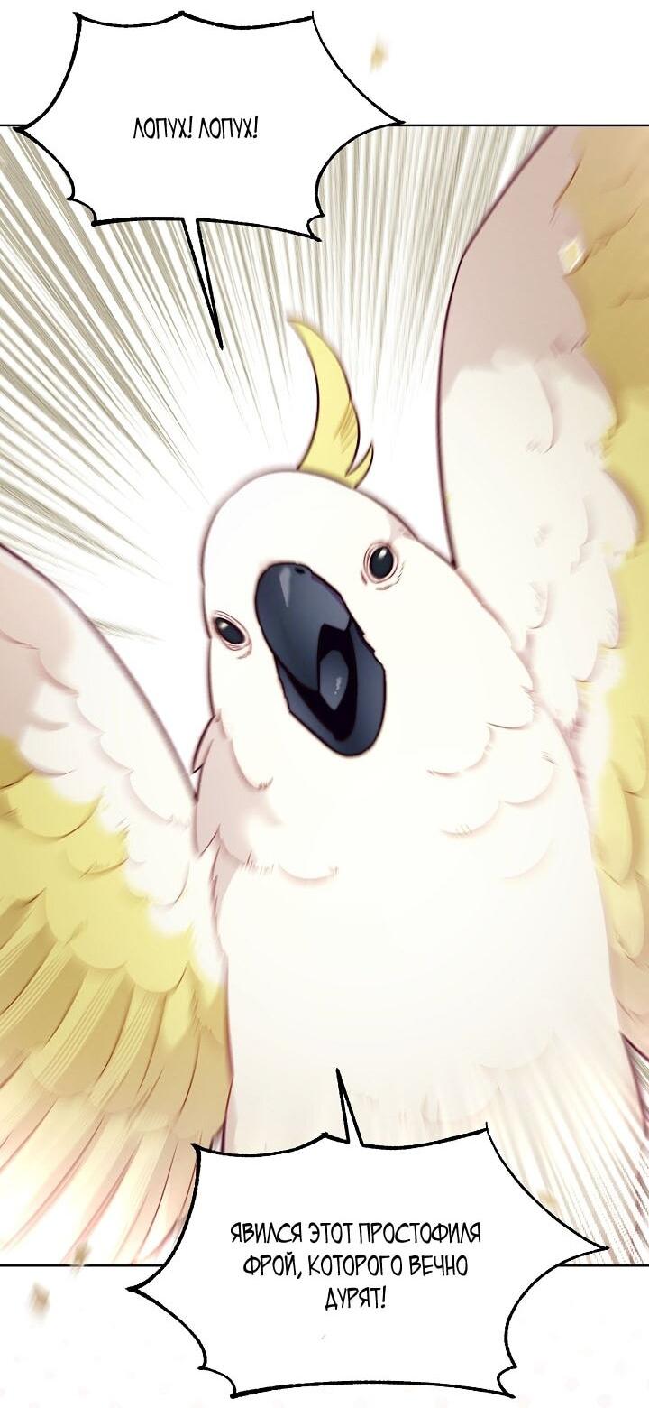 Манга Клетка коллекционера - Глава 3 Страница 6