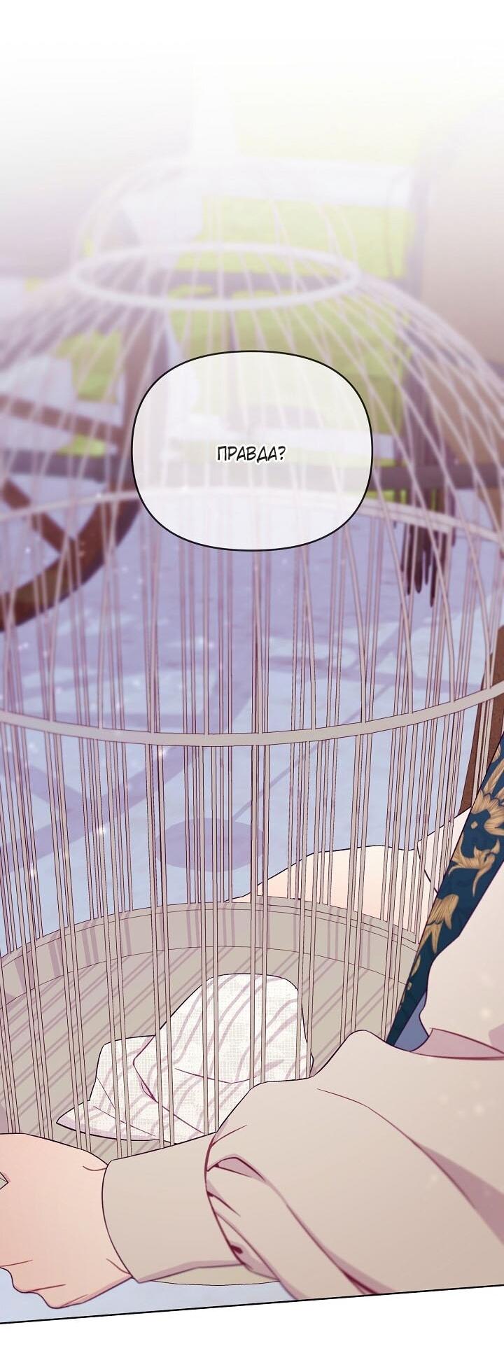 Манга Клетка коллекционера - Глава 2 Страница 51