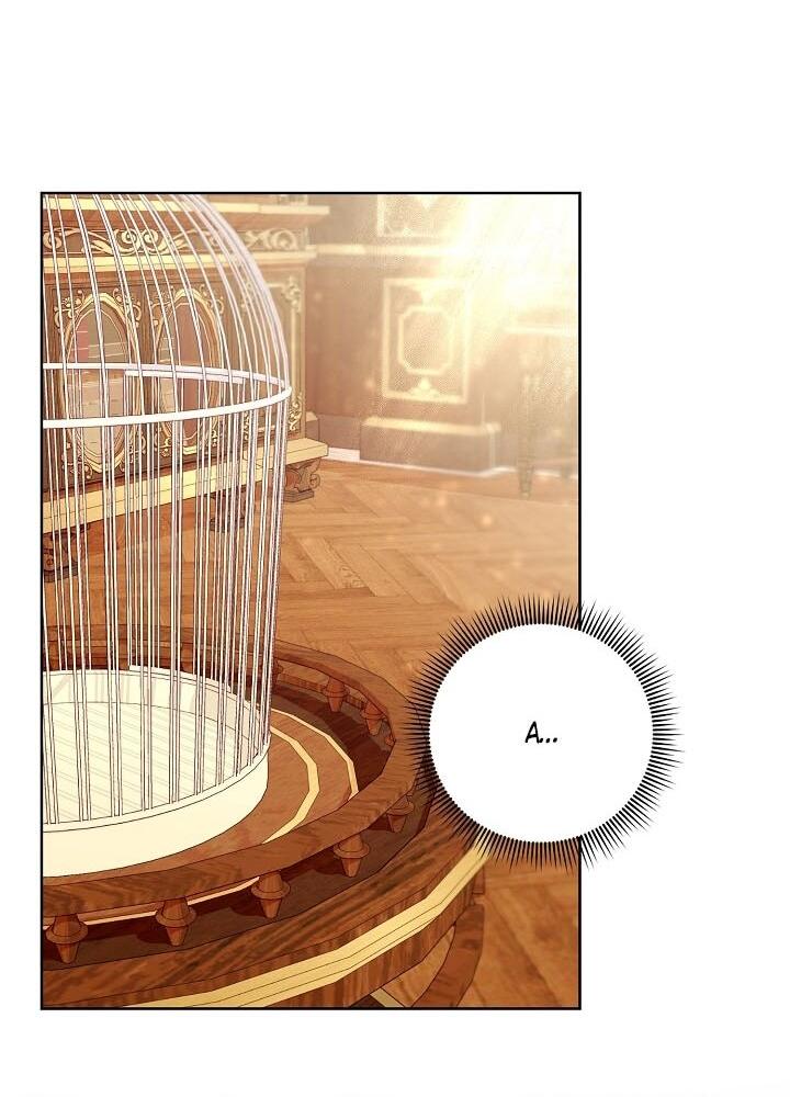 Манга Клетка коллекционера - Глава 2 Страница 2