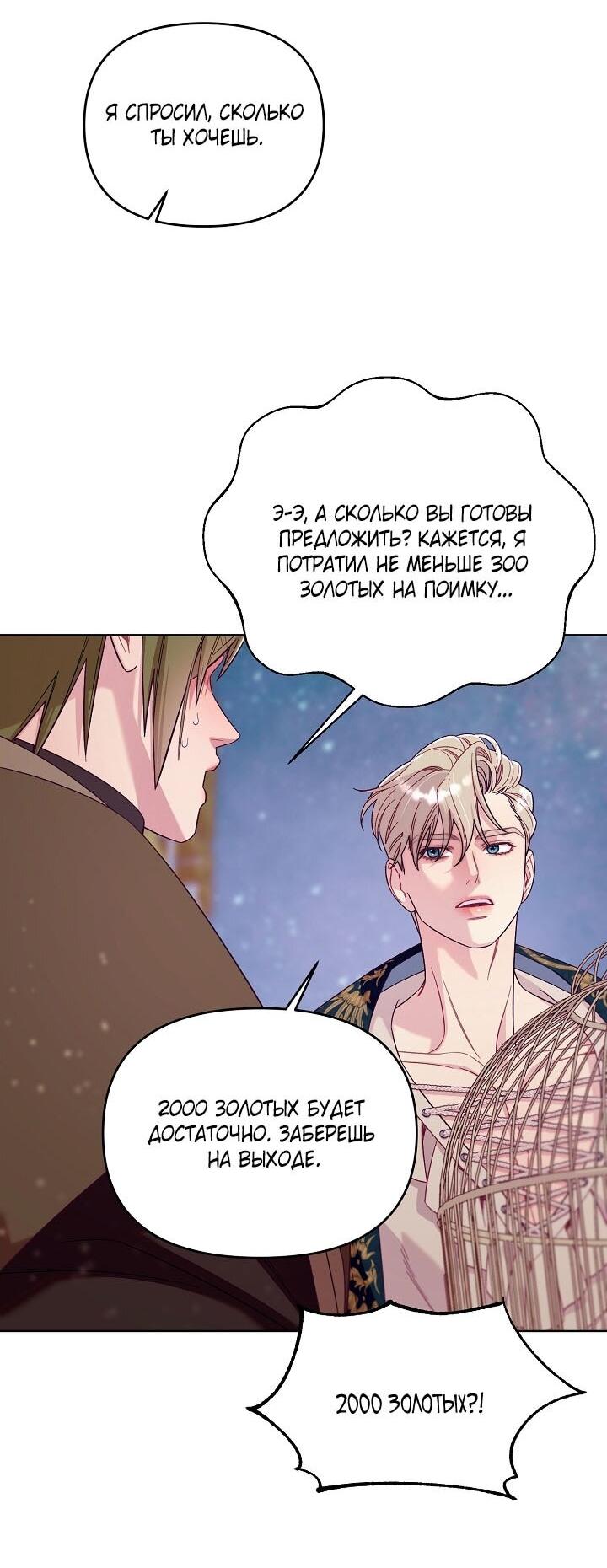 Манга Клетка коллекционера - Глава 2 Страница 41