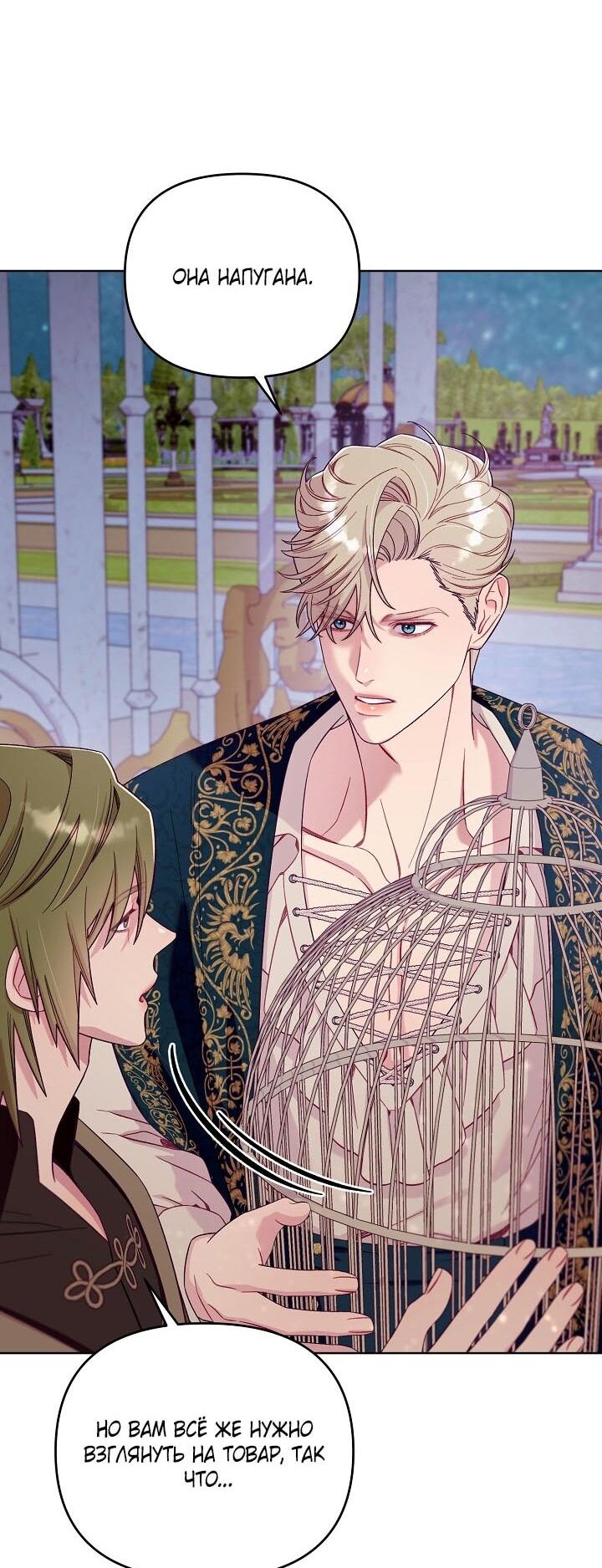 Манга Клетка коллекционера - Глава 2 Страница 28