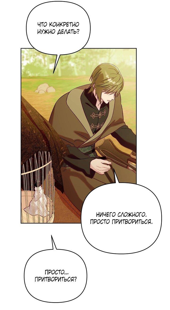 Манга Клетка коллекционера - Глава 1 Страница 28