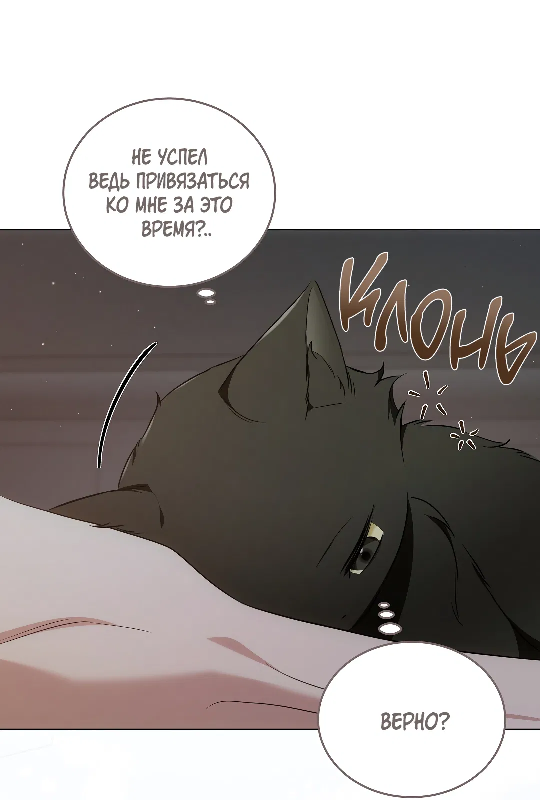 Манга Кошачья терапия - Глава 7 Страница 19