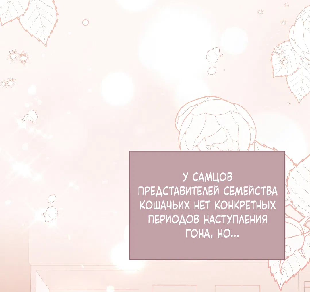Манга Кошачья терапия - Глава 18 Страница 49