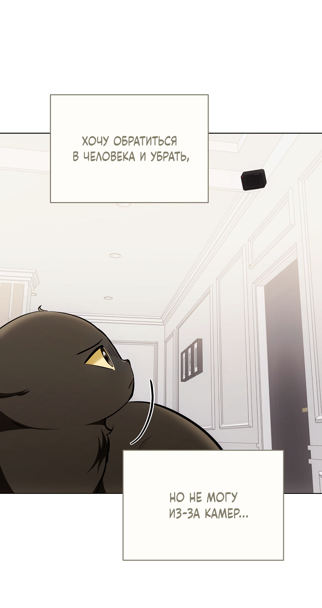 Манга Кошачья терапия - Глава 22 Страница 39