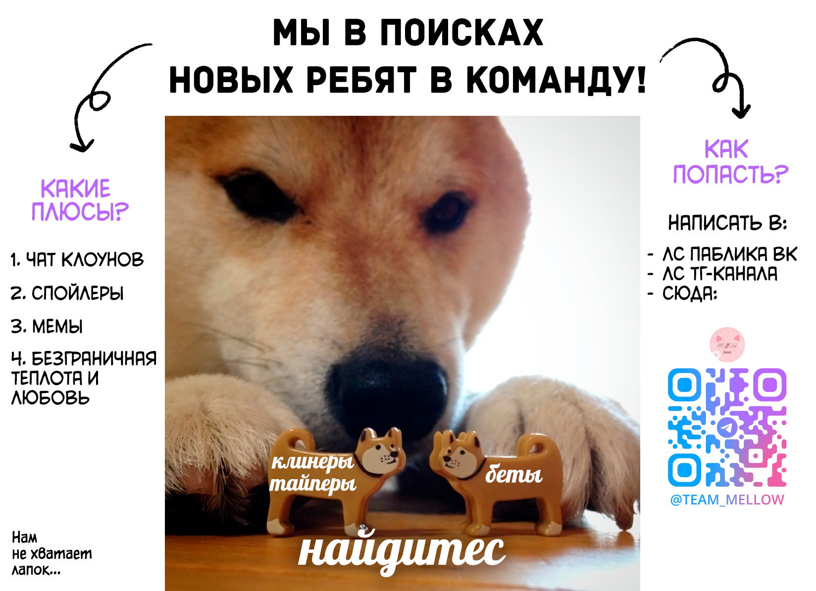 Манга Кошачья терапия - Глава 25 Страница 1