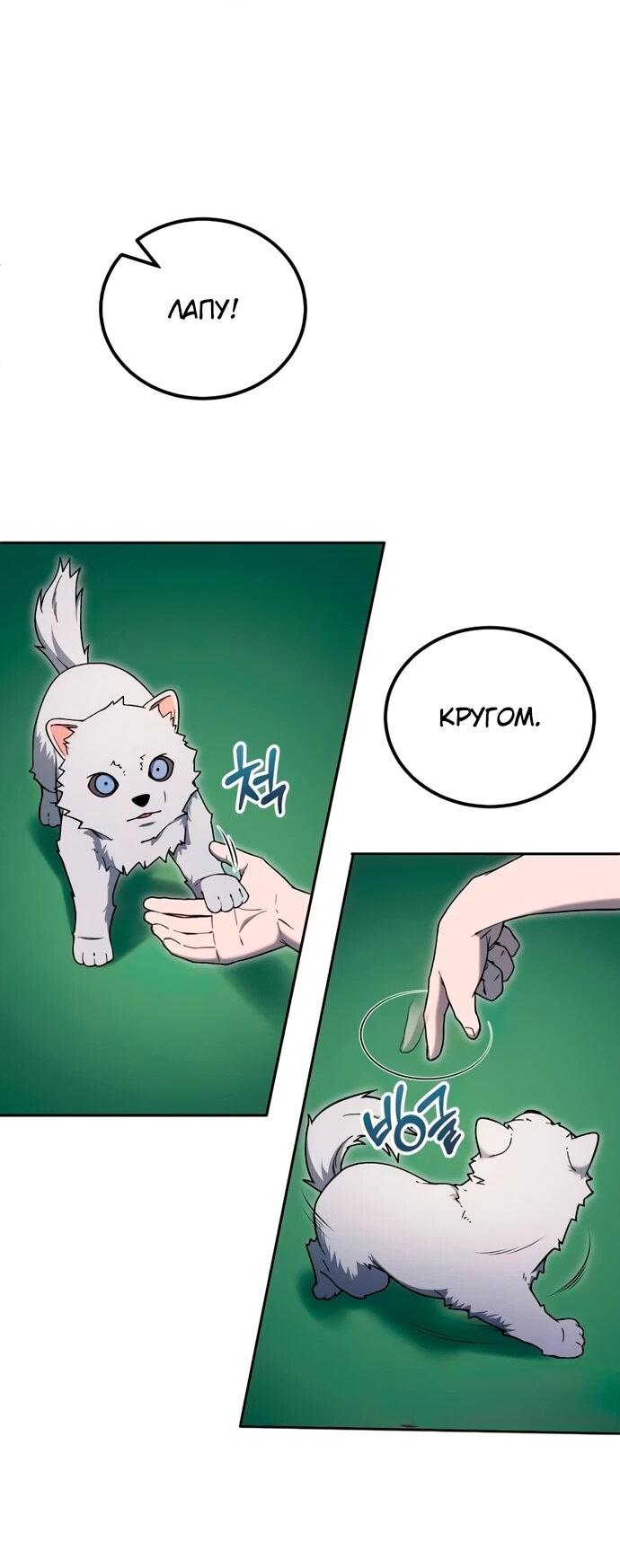 Манга Ветеран Апокалипсиса - Глава 11 Страница 3