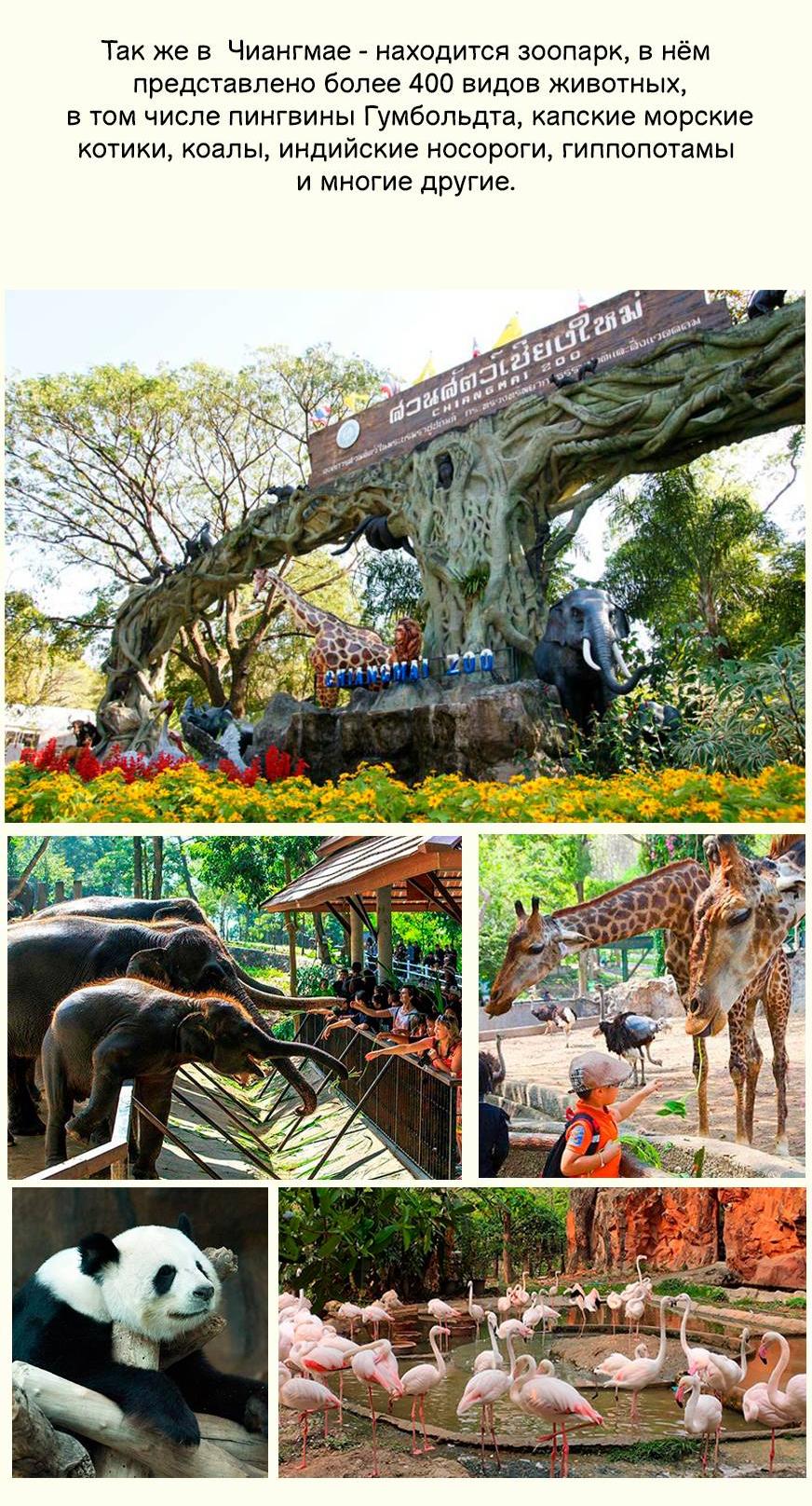 Манга О боже, папочка! - Глава 14 Страница 56