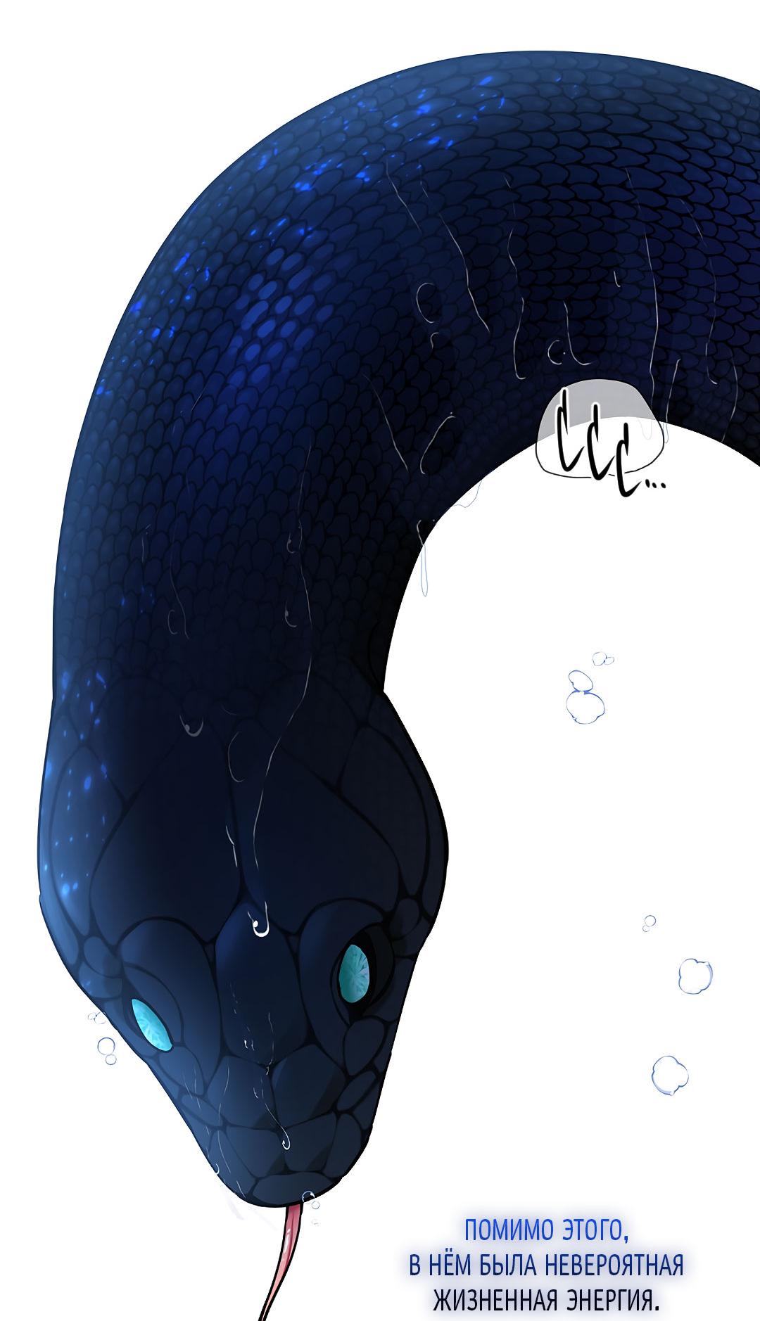 Манга Змеиная нора - Глава 16 Страница 61