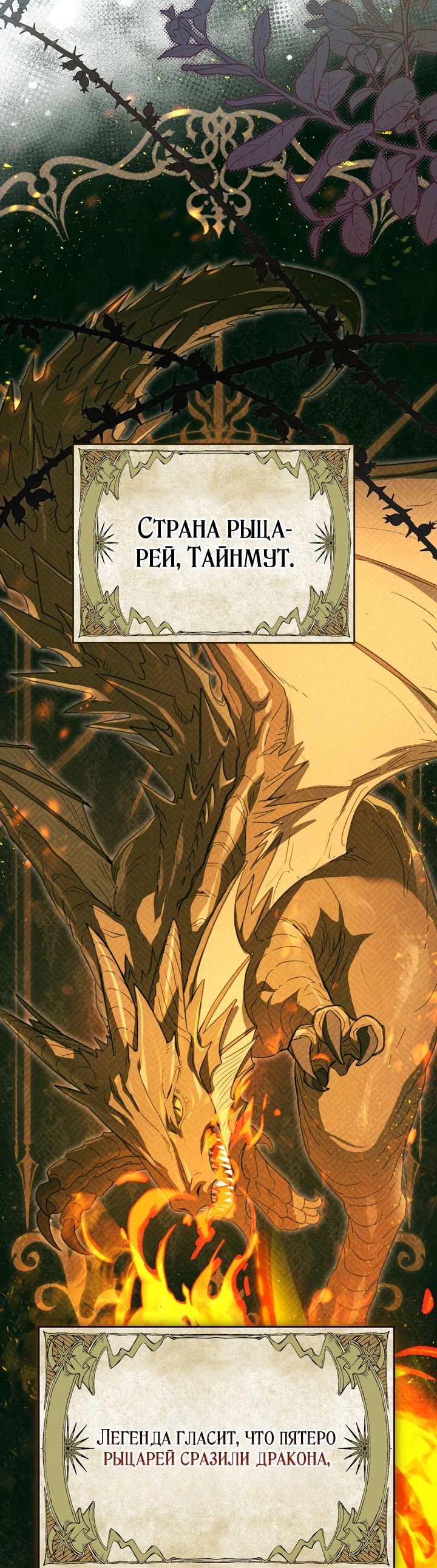 Манга Золотой рыцарь - Глава 2 Страница 13